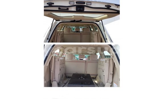 Buy Import Toyota Land Cruiser White Car in Import - Dubai in Al Jazirah State Buy Import Toyota Land Cruiser White Car in Import - Dubai in Al Jazirah State