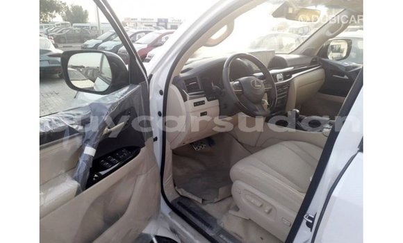 Buy Import Lexus LX White Car in Import - Dubai in Al Jazirah State Buy Import Lexus LX White Car in Import - Dubai in Al Jazirah State