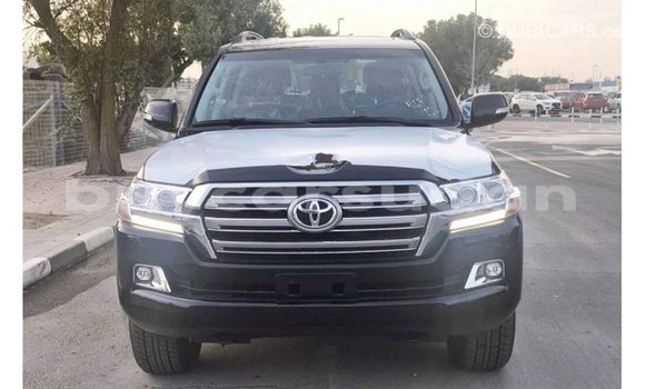Buy Import Toyota Land Cruiser Black Car in Import - Dubai in Al Jazirah State Buy Import Toyota Land Cruiser Black Car in Import - Dubai in Al Jazirah State