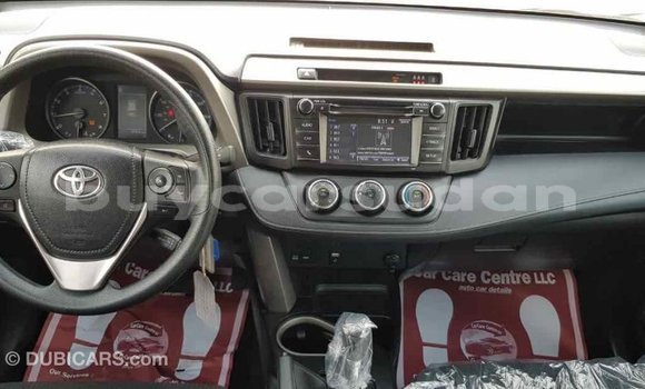 Buy Import Toyota RAV4 Black Car in Import - Dubai in Al Jazirah State Buy Import Toyota RAV4 Black Car in Import - Dubai in Al Jazirah State
