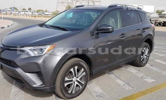 Buy Import Toyota RAV4 Other Car in Import - Dubai in Al Jazirah State Buy Import Toyota RAV4 Other Car in Import - Dubai in Al Jazirah State