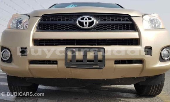 Buy Import Toyota RAV4 Other Car in Import - Dubai in Al Jazirah State Buy Import Toyota RAV4 Other Car in Import - Dubai in Al Jazirah State