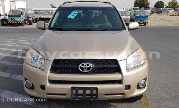 Buy Import Toyota RAV4 Other Car in Import - Dubai in Al Jazirah State Buy Import Toyota RAV4 Other Car in Import - Dubai in Al Jazirah State