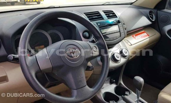 Buy Import Toyota RAV4 Other Car in Import - Dubai in Al Jazirah State Buy Import Toyota RAV4 Other Car in Import - Dubai in Al Jazirah State