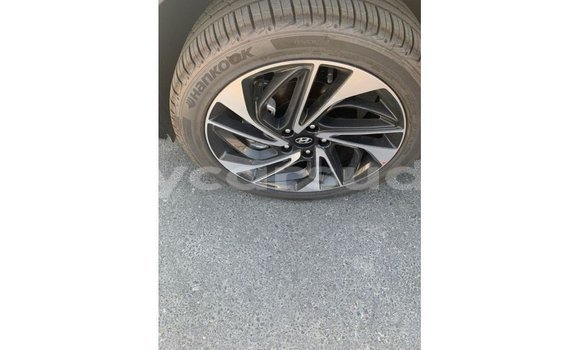 Buy Import Hyundai Tucson Other Car in Import - Dubai in Al Jazirah State Buy Import Hyundai Tucson Other Car in Import - Dubai in Al Jazirah State