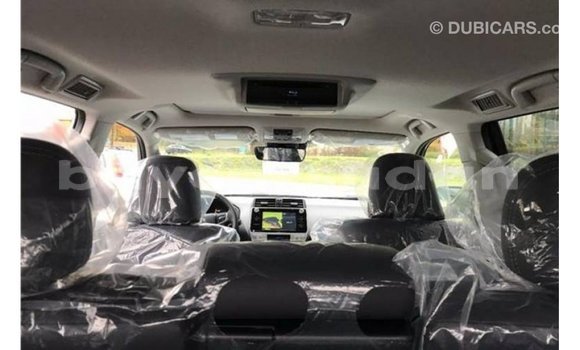 Buy Import Toyota Prado Other Car in Import - Dubai in Al Jazirah State Buy Import Toyota Prado Other Car in Import - Dubai in Al Jazirah State