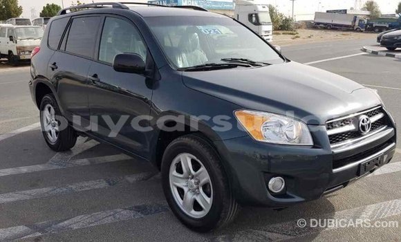 Buy Import Toyota RAV4 Green Car in Import - Dubai in Al Jazirah State Buy Import Toyota RAV4 Green Car in Import - Dubai in Al Jazirah State