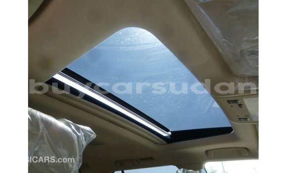 Buy Import Toyota Land Cruiser White Car in Import - Dubai in Al Jazirah State Buy Import Toyota Land Cruiser White Car in Import - Dubai in Al Jazirah State