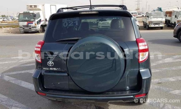 Buy Import Toyota RAV4 Green Car in Import - Dubai in Al Jazirah State Buy Import Toyota RAV4 Green Car in Import - Dubai in Al Jazirah State