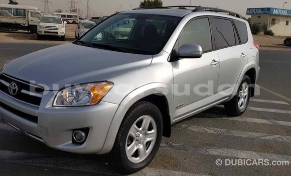 Buy Import Toyota RAV4 Other Car in Import - Dubai in Al Jazirah State Buy Import Toyota RAV4 Other Car in Import - Dubai in Al Jazirah State