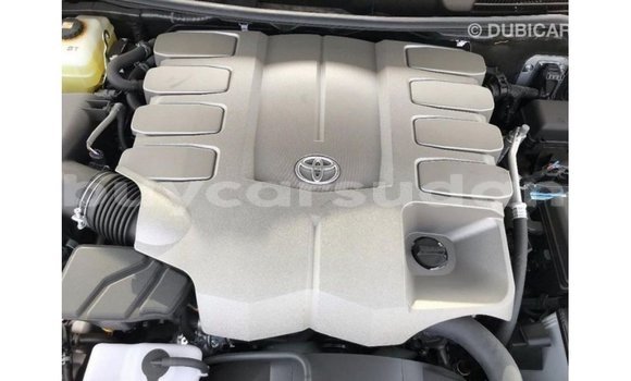 Buy Import Toyota Land Cruiser Other Car in Import - Dubai in Al Jazirah State Buy Import Toyota Land Cruiser Other Car in Import - Dubai in Al Jazirah State