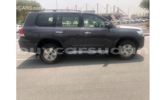 Buy Import Toyota Land Cruiser Other Car in Import - Dubai in Al Jazirah State Buy Import Toyota Land Cruiser Other Car in Import - Dubai in Al Jazirah State