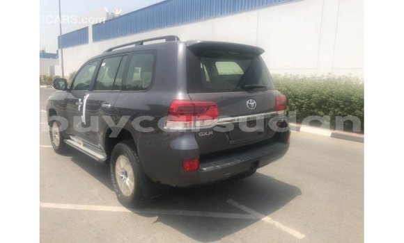 Buy Import Toyota Land Cruiser Other Car in Import - Dubai in Al Jazirah State Buy Import Toyota Land Cruiser Other Car in Import - Dubai in Al Jazirah State