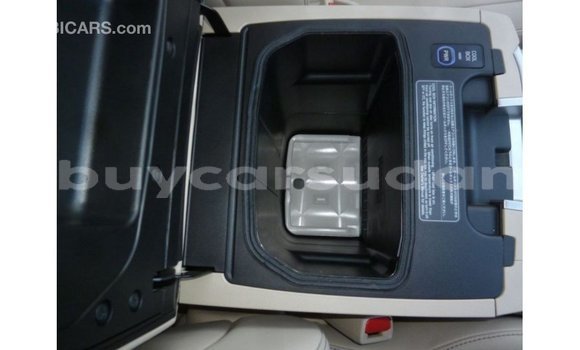 Buy Import Toyota Land Cruiser Black Car in Import - Dubai in Al Jazirah State Buy Import Toyota Land Cruiser Black Car in Import - Dubai in Al Jazirah State