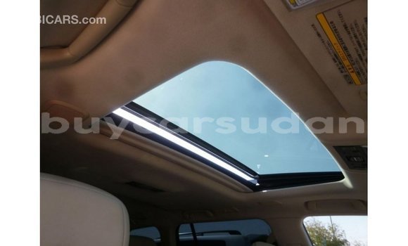 Buy Import Toyota Land Cruiser Black Car in Import - Dubai in Al Jazirah State Buy Import Toyota Land Cruiser Black Car in Import - Dubai in Al Jazirah State