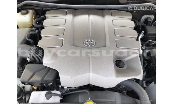 Buy Import Toyota Land Cruiser White Car in Import - Dubai in Al Jazirah State Buy Import Toyota Land Cruiser White Car in Import - Dubai in Al Jazirah State