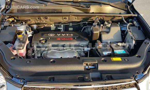 Buy Import Toyota RAV4 Blue Car in Import - Dubai in Al Jazirah State Buy Import Toyota RAV4 Blue Car in Import - Dubai in Al Jazirah State