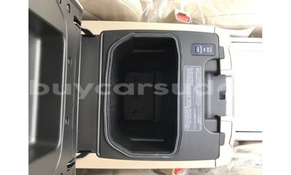 Buy Import Toyota Land Cruiser Other Car in Import - Dubai in Al Jazirah State Buy Import Toyota Land Cruiser Other Car in Import - Dubai in Al Jazirah State