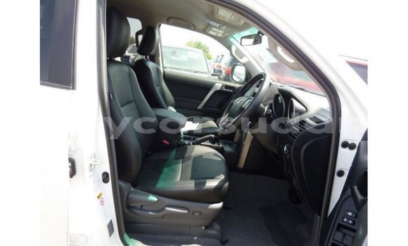 Buy Import Toyota Prado White Car in Import - Dubai in Al Jazirah State Buy Import Toyota Prado White Car in Import - Dubai in Al Jazirah State