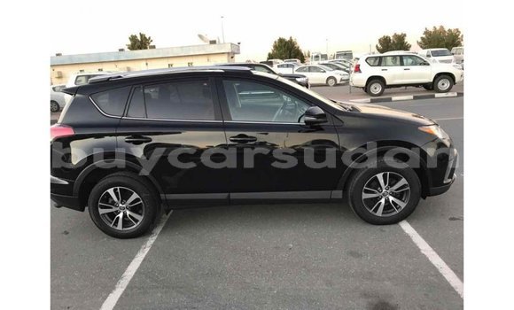 Buy Import Toyota RAV4 Black Car in Import - Dubai in Al Jazirah State Buy Import Toyota RAV4 Black Car in Import - Dubai in Al Jazirah State