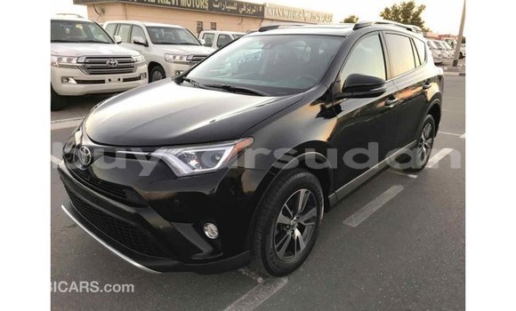 Buy Import Toyota RAV4 Black Car in Import - Dubai in Al Jazirah State Buy Import Toyota RAV4 Black Car in Import - Dubai in Al Jazirah State