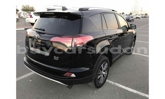 Buy Import Toyota RAV4 Black Car in Import - Dubai in Al Jazirah State Buy Import Toyota RAV4 Black Car in Import - Dubai in Al Jazirah State