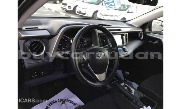 Buy Import Toyota RAV4 Black Car in Import - Dubai in Al Jazirah State Buy Import Toyota RAV4 Black Car in Import - Dubai in Al Jazirah State