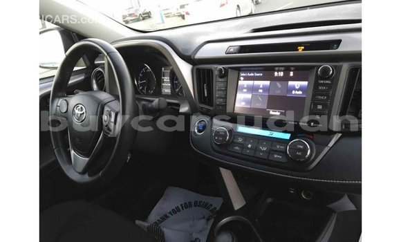 Buy Import Toyota RAV4 Black Car in Import - Dubai in Al Jazirah State Buy Import Toyota RAV4 Black Car in Import - Dubai in Al Jazirah State