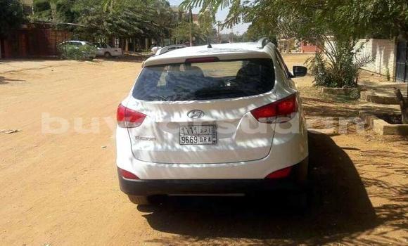 Buy Used Hyundai Tucson White Car in Khartoum in Khartoum Buy Used Hyundai Tucson White Car in Khartoum in Khartoum
