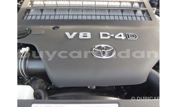Buy Import Toyota Land Cruiser Other Car in Import - Dubai in Al Jazirah State Buy Import Toyota Land Cruiser Other Car in Import - Dubai in Al Jazirah State