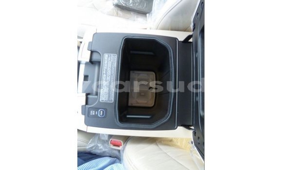 Buy Import Toyota Land Cruiser Other Car in Import - Dubai in Al Jazirah State Buy Import Toyota Land Cruiser Other Car in Import - Dubai in Al Jazirah State