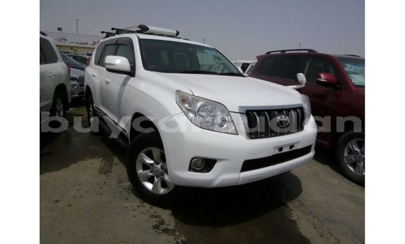 Buy Import Toyota Prado White Car in Import - Dubai in Al Jazirah State Buy Import Toyota Prado White Car in Import - Dubai in Al Jazirah State