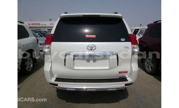 Buy Import Toyota Prado White Car in Import - Dubai in Al Jazirah State Buy Import Toyota Prado White Car in Import - Dubai in Al Jazirah State