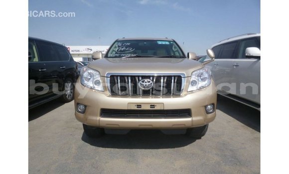 Buy Import Toyota Prado Other Car in Import - Dubai in Al Jazirah State Buy Import Toyota Prado Other Car in Import - Dubai in Al Jazirah State