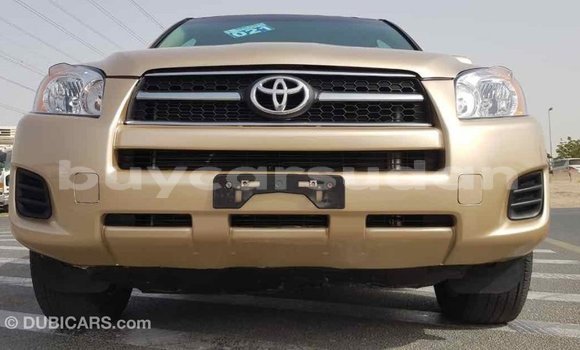 Buy Import Toyota RAV4 Other Car in Import - Dubai in Al Jazirah State Buy Import Toyota RAV4 Other Car in Import - Dubai in Al Jazirah State