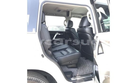 Buy Import Toyota Land Cruiser White Car in Import - Dubai in Al Jazirah State Buy Import Toyota Land Cruiser White Car in Import - Dubai in Al Jazirah State