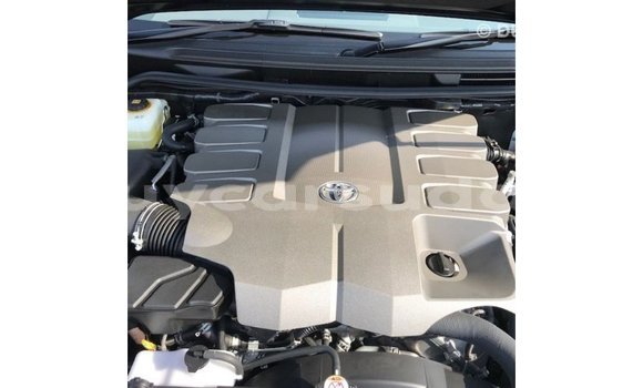 Buy Import Toyota Land Cruiser Black Car in Import - Dubai in Al Jazirah State Buy Import Toyota Land Cruiser Black Car in Import - Dubai in Al Jazirah State