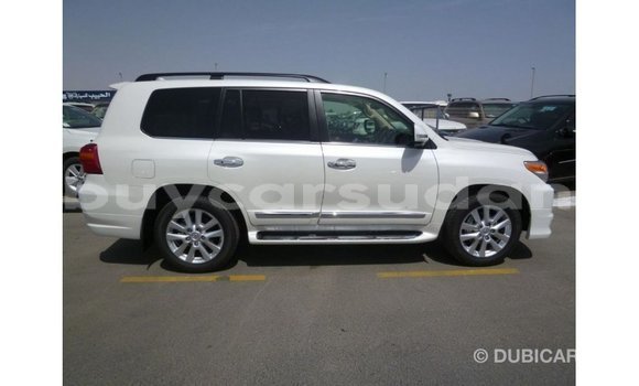 Buy Import Toyota Land Cruiser White Car in Import - Dubai in Al Jazirah State Buy Import Toyota Land Cruiser White Car in Import - Dubai in Al Jazirah State