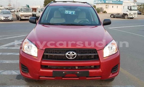 Buy Import Toyota RAV4 Red Car in Import - Dubai in Al Jazirah State Buy Import Toyota RAV4 Red Car in Import - Dubai in Al Jazirah State
