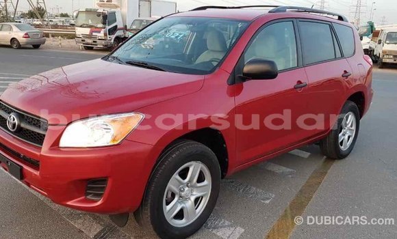 Buy Import Toyota RAV4 Red Car in Import - Dubai in Al Jazirah State Buy Import Toyota RAV4 Red Car in Import - Dubai in Al Jazirah State