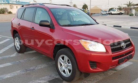 Buy Import Toyota RAV4 Red Car in Import - Dubai in Al Jazirah State Buy Import Toyota RAV4 Red Car in Import - Dubai in Al Jazirah State