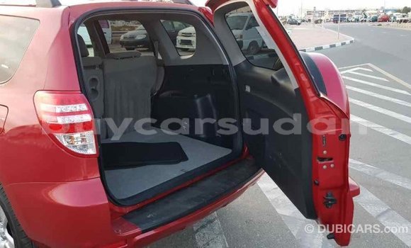Buy Import Toyota RAV4 Red Car in Import - Dubai in Al Jazirah State Buy Import Toyota RAV4 Red Car in Import - Dubai in Al Jazirah State