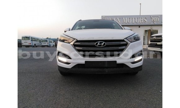 Buy Import Hyundai Tucson White Car in Import - Dubai in Al Jazirah State Buy Import Hyundai Tucson White Car in Import - Dubai in Al Jazirah State