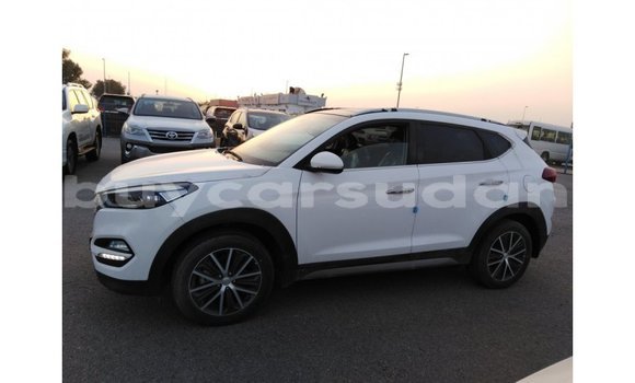 Buy Import Hyundai Tucson White Car in Import - Dubai in Al Jazirah State Buy Import Hyundai Tucson White Car in Import - Dubai in Al Jazirah State