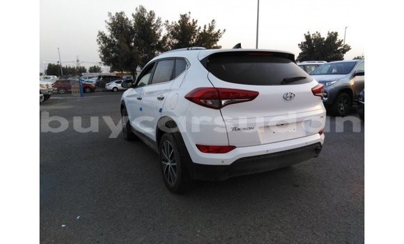 Buy Import Hyundai Tucson White Car in Import - Dubai in Al Jazirah State Buy Import Hyundai Tucson White Car in Import - Dubai in Al Jazirah State
