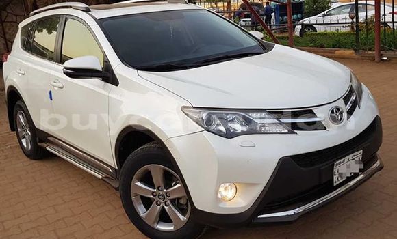 Buy Used Toyota RAV4 White Car in Khartoum in Khartoum