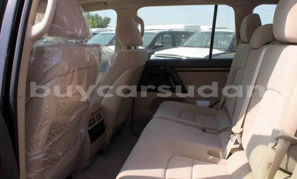 Buy Import Toyota Land Cruiser Black Car in Import - Dubai in Al Jazirah State Buy Import Toyota Land Cruiser Black Car in Import - Dubai in Al Jazirah State
