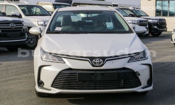 Buy Import Toyota Corolla White Car in Import - Dubai in Al Jazirah State Buy Import Toyota Corolla White Car in Import - Dubai in Al Jazirah State