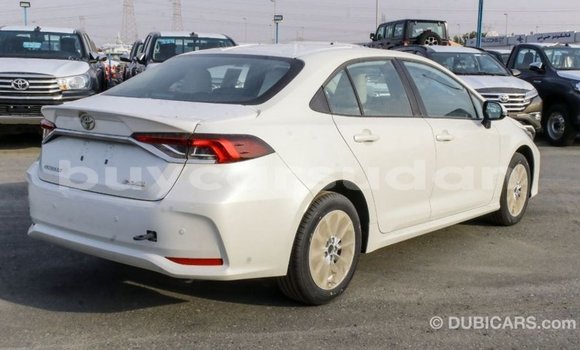 Buy Import Toyota Corolla White Car in Import - Dubai in Al Jazirah State Buy Import Toyota Corolla White Car in Import - Dubai in Al Jazirah State