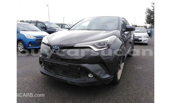Buy Import Toyota C-HR Other Car in Import - Dubai in Al Jazirah State Buy Import Toyota C-HR Other Car in Import - Dubai in Al Jazirah State
